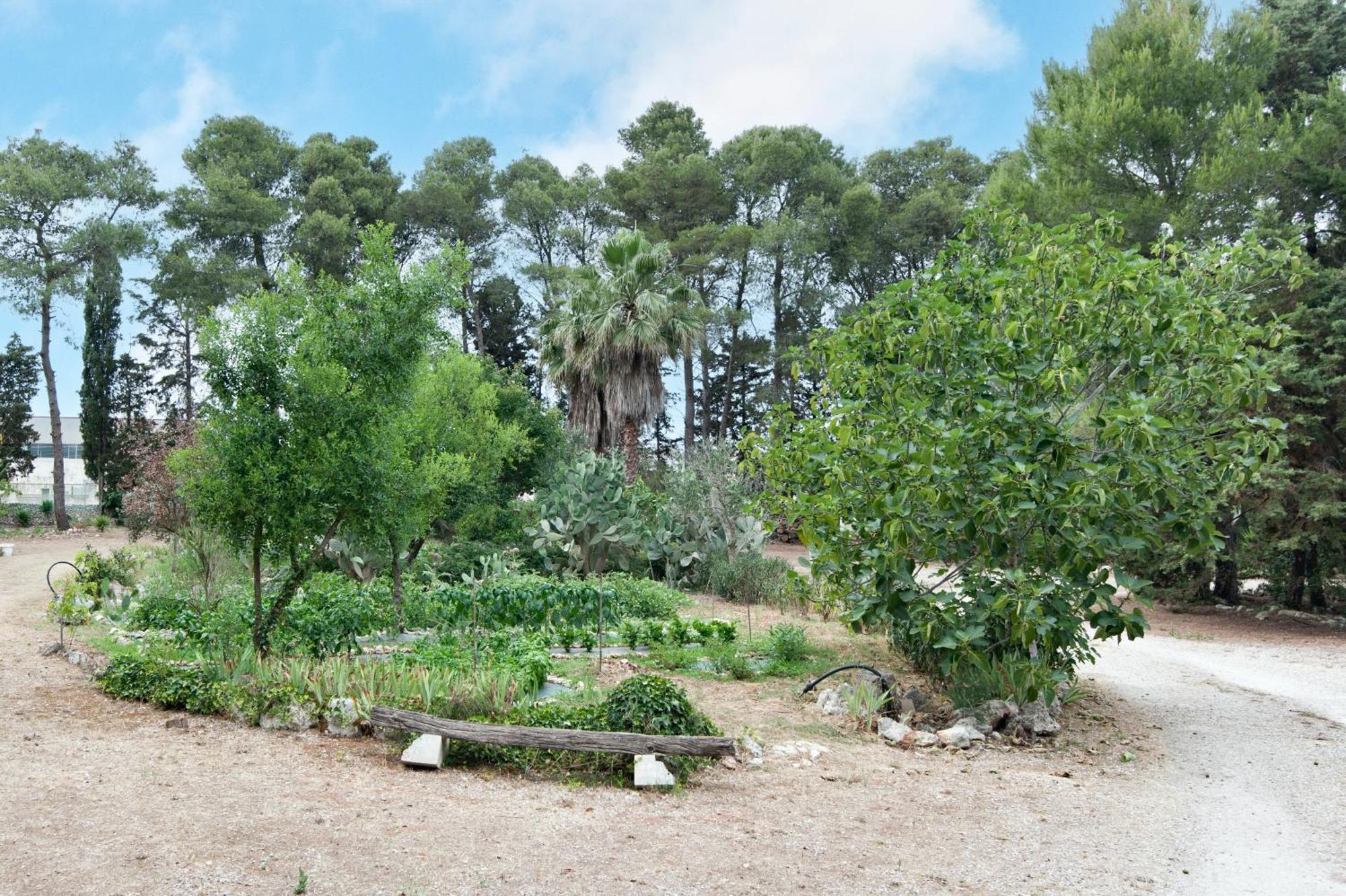 Вилла Tenuta Chimeta - Peace Retreat Castrignano de' Greci Экстерьер фото